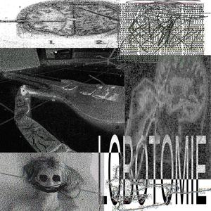 LES MURS ONT DES OREILLES (Explicit)