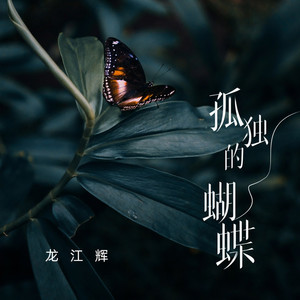 孤独的蝴蝶