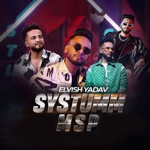 Elvish Yadav Systumm Msp