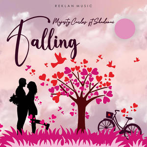 Falling (feat. Shadonai)