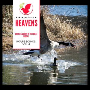 Crickets & Birds in the Forest Midday - Nature Sounds, Vol. 4