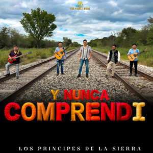 Y Nunca Comprendi