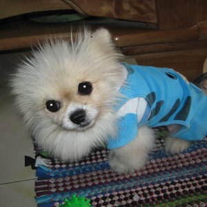 我爱你呀亲爱宝贝