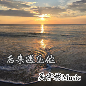 后来遇见他 (电摇版)