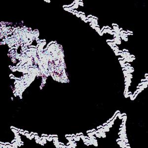 Hypno Death (feat. Le Lune) (Explicit)