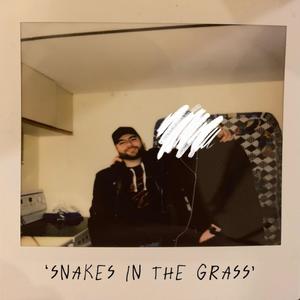 Snakes In The Grass