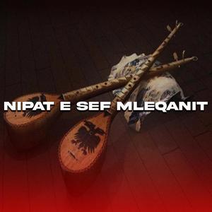 Nipat e Sef Mleqanit