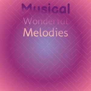 Musical Wonderful Melodies