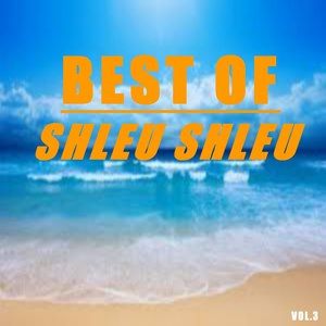 Best of shleu shleu (Vol.3)