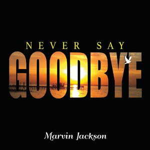 Never Say Goodbye (Explicit)