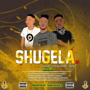 Shugela