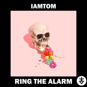 Ring The Alarm