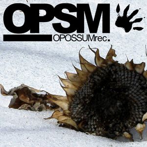 Metamorphose (Original Mix)