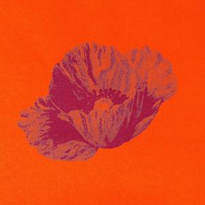 Take One Poppy Everyday