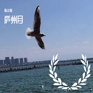 庐州月 (女声版)