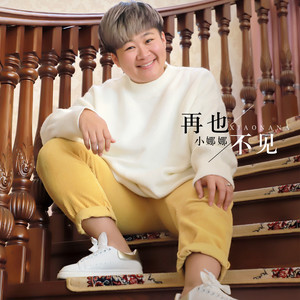 再也不见封面