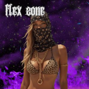 flex zone