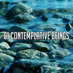 61 Contemplative Beings