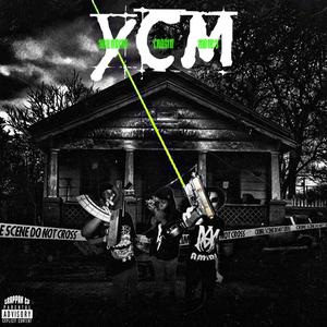 31 Reasons (feat. YCM Rou) (Explicit)