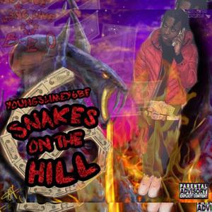 Snakes On The Hill (Explicit)