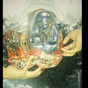 Aloe Vera (feat. sachin, JJ Jansen, corchi & rohan!) (Explicit)