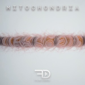 Mitochondria