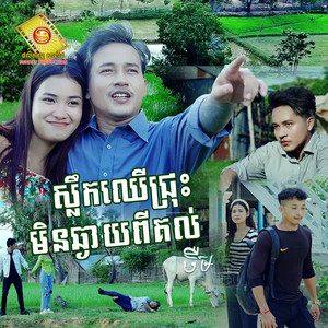 ស្លឹកឈើជ្រុះមិនឆ្ងាយពីគល់