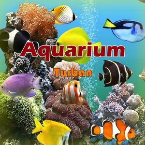 aquarium