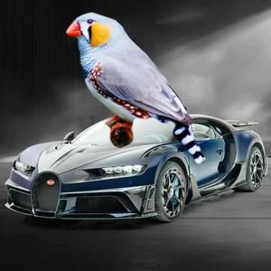 Roll with it (Explicit)