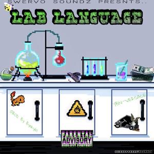 Lab Language (Explicit)