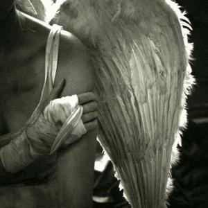 body (feat. raine's reverie) (Explicit)