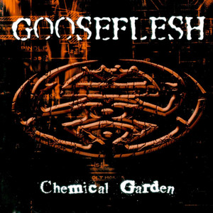 Chemical Garden