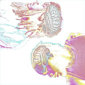 UP N DOWN (feat. URBAN THUG) (Explicit)