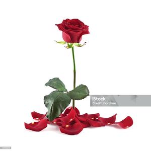 Baby dont let go (Explicit)