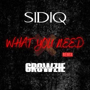 What You Need (feat. Growzie) (Amapiano Remix)