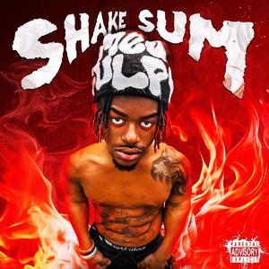 SHAKE SUMN (Explicit)