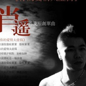 你的爱情太虚伪 (DJ越南鼓版)