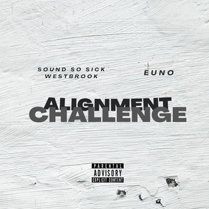 Alignment Challenge (Explicit)