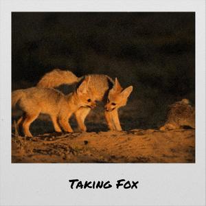 Taking Fox