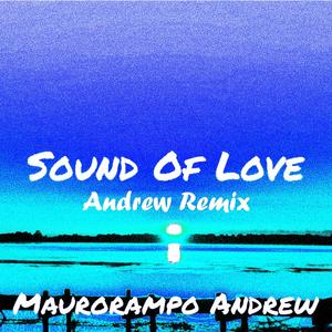 Sound Of Love (Andrewmvsic Remix)