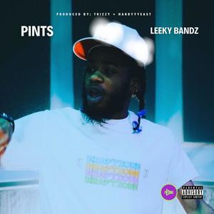 PINTS (Explicit)