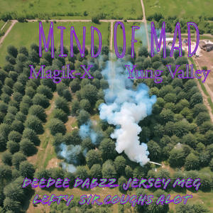 Yea!! (GOOD TIMEZ) (feat. Lefty, DeeDee Dabzz, Jersey Meg, Sir Coughs Alot & Yung Valley) (Explicit)