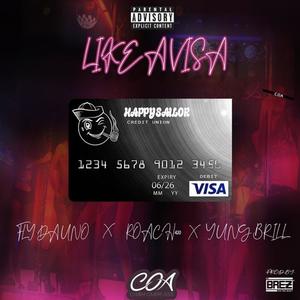 Like A Visa (Explicit)