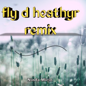 Fly D Heathyr (Remix)