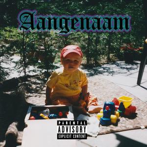 Aangenaam (Explicit)