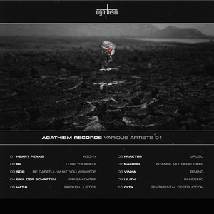 Agathism Records Various Artists 01 (Explicit)