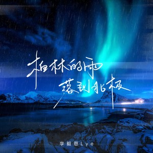 柏林的雨落到北极