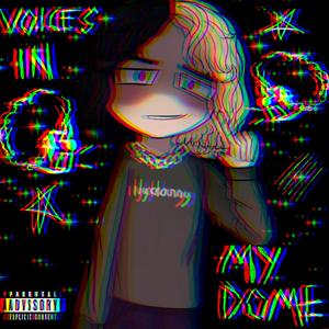 voices in my dome (Explicit)