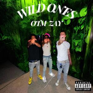 wild ones (Explicit)