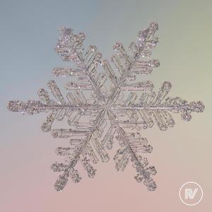 Snowflake (feat. Lauren Lee)